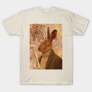 down the rabbit hole T-Shirt